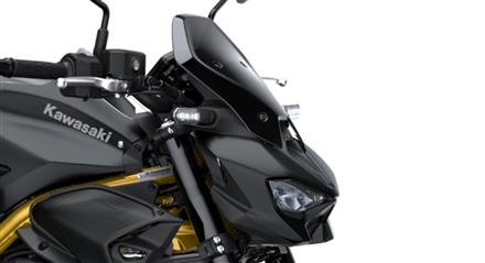 Grand saute-vent fumé